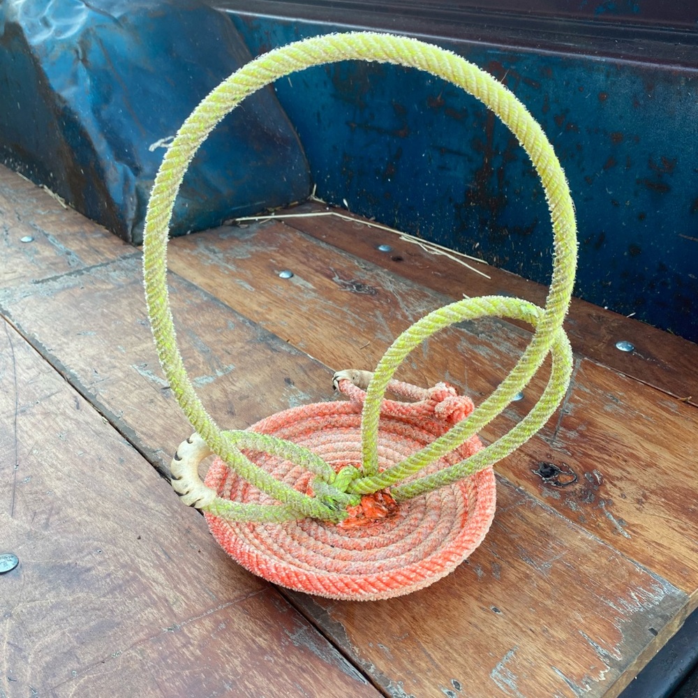 Lariat rope cactus